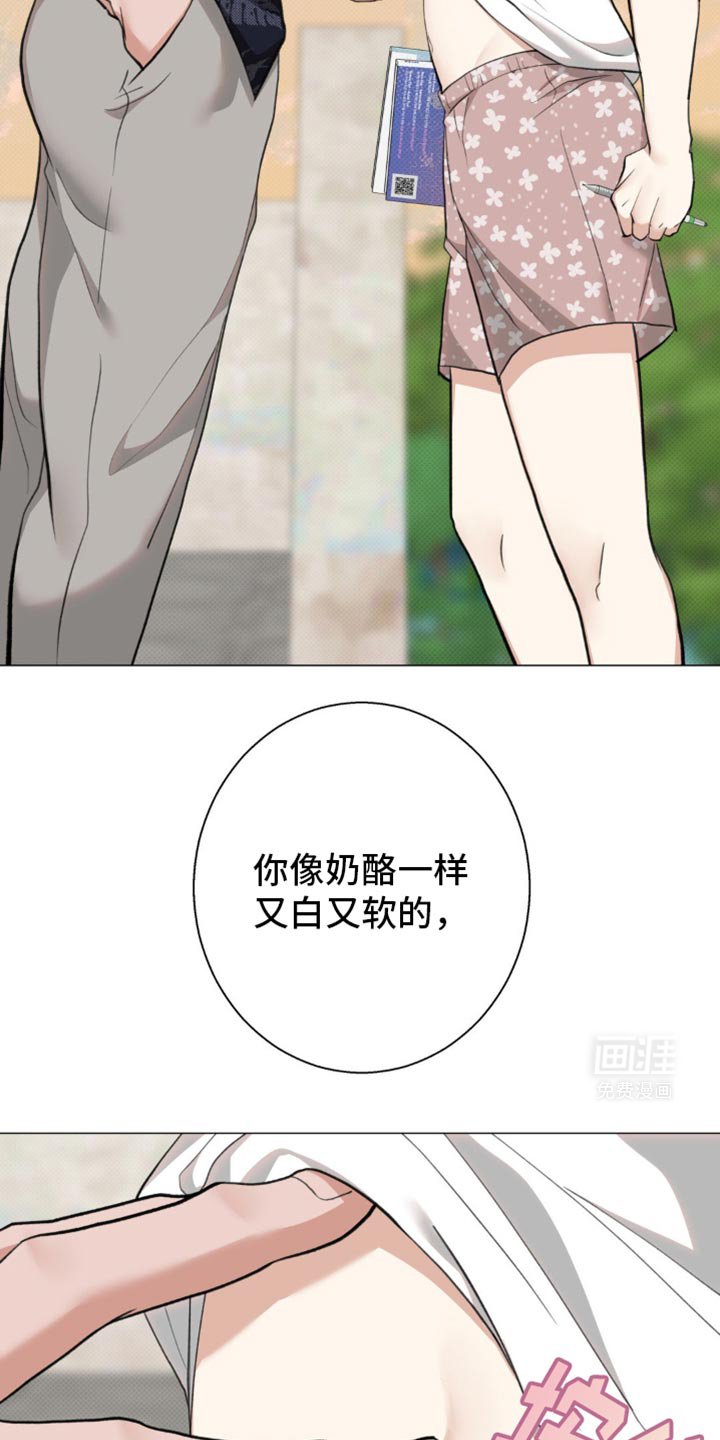 第22章：老鼠