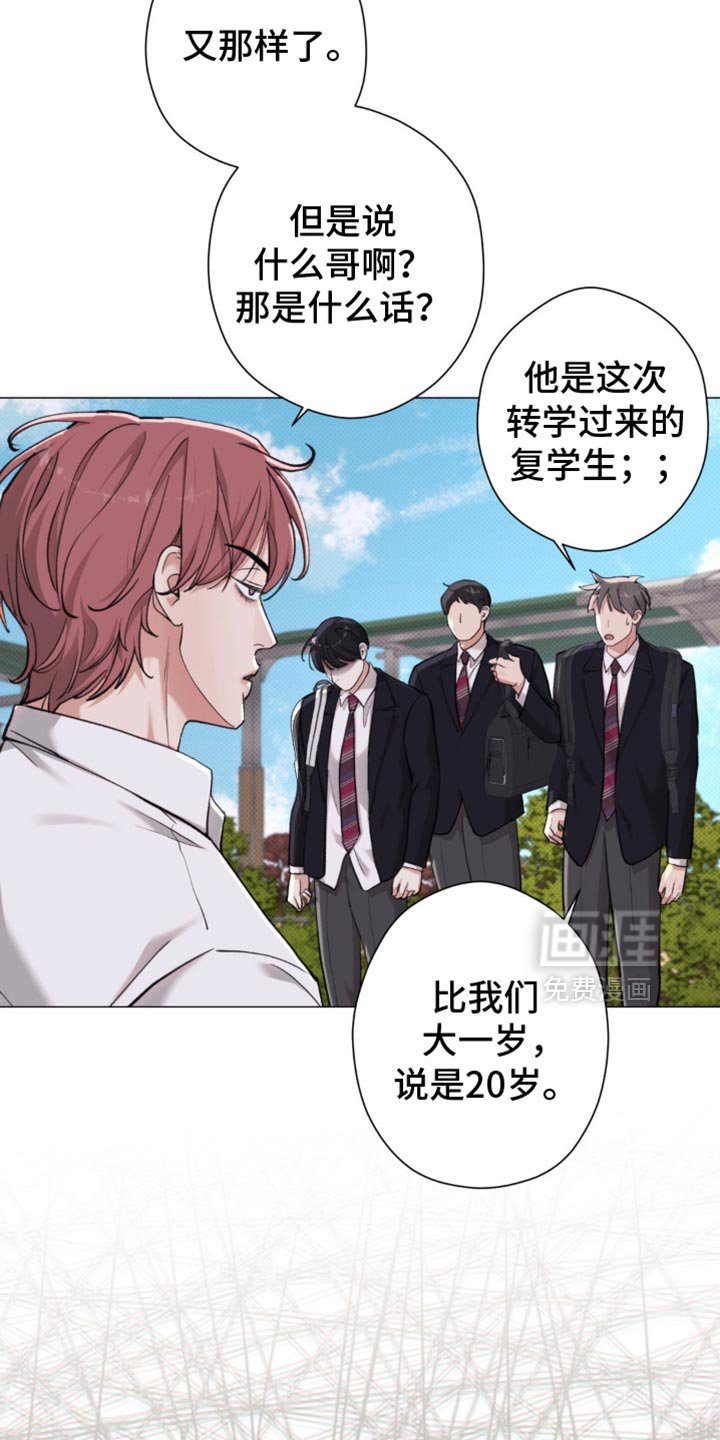 第43章：【第二季】就像失恋的人