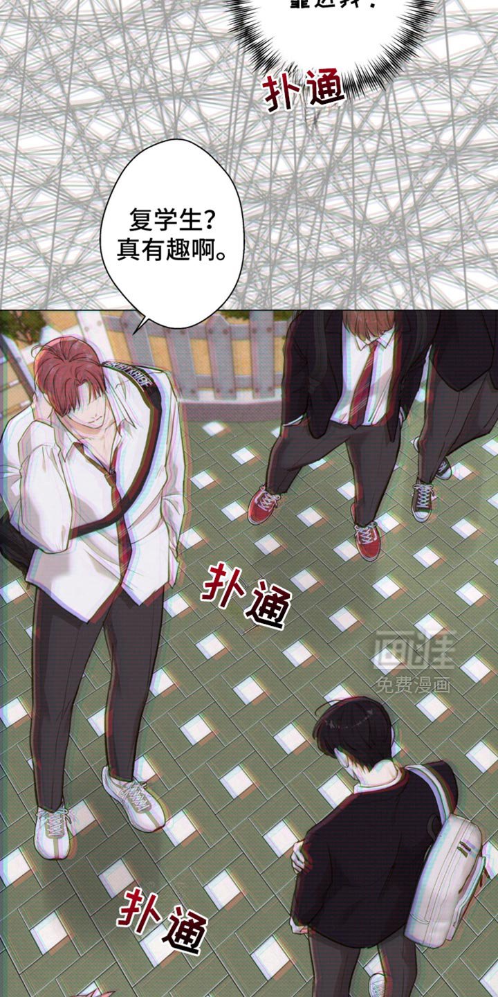 第43章：【第二季】就像失恋的人