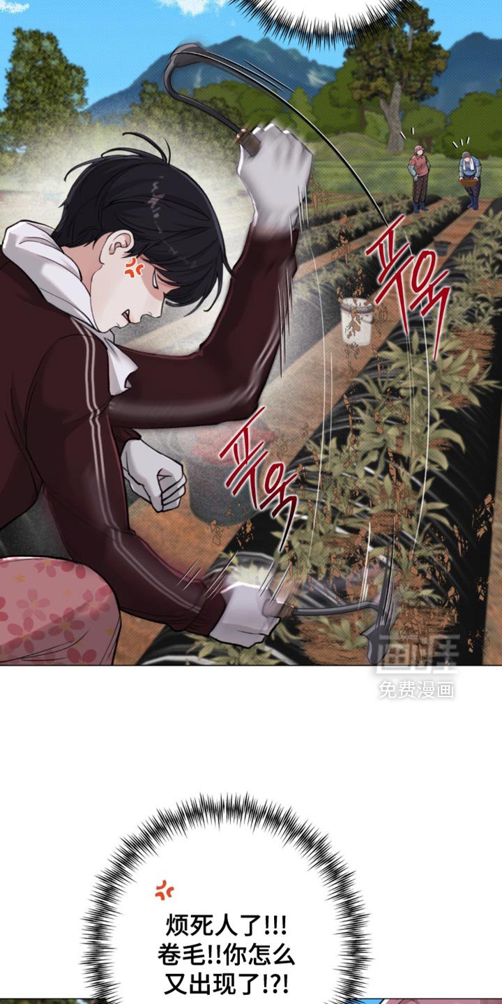 第51章：【第二季】一起走吧