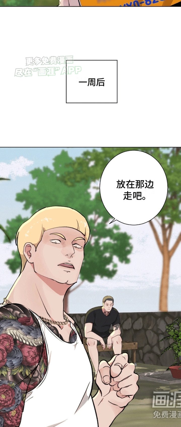 第6章：计划通
