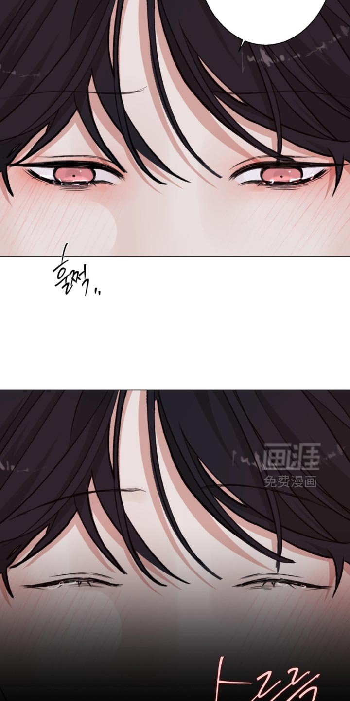 第62章：【第二季】我想知道你的名字