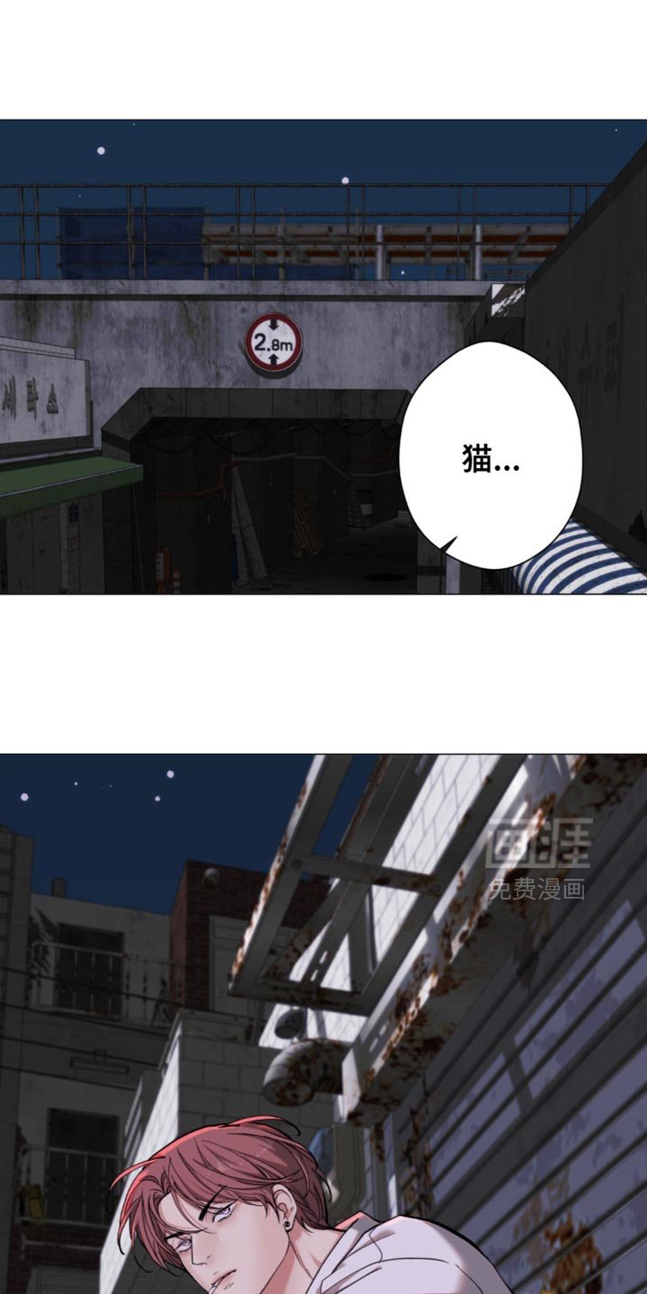 第79章：【第二季】气场真强