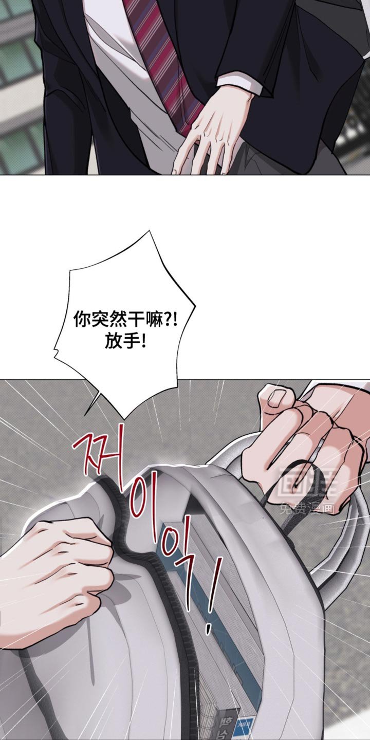 第81章：【第二季】地瓜便当