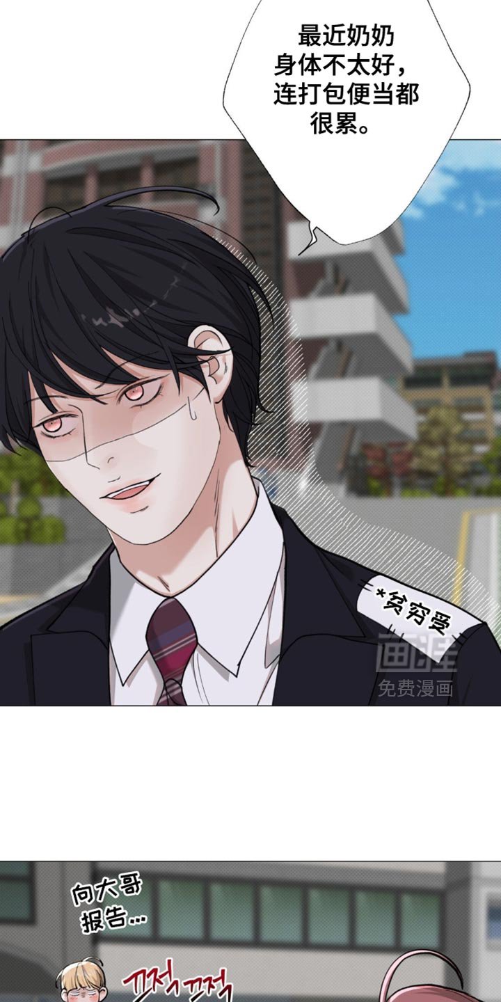 第81章：【第二季】地瓜便当
