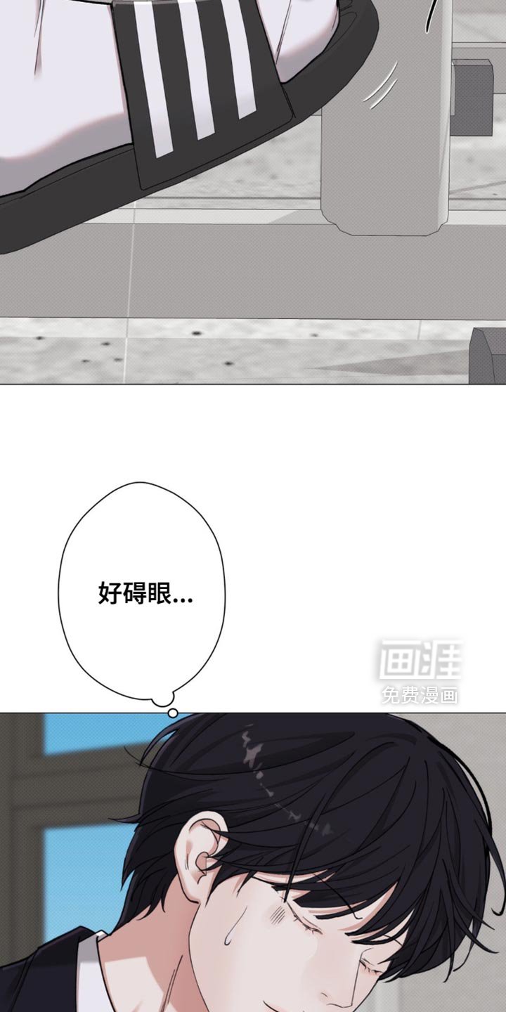 第81章：【第二季】地瓜便当