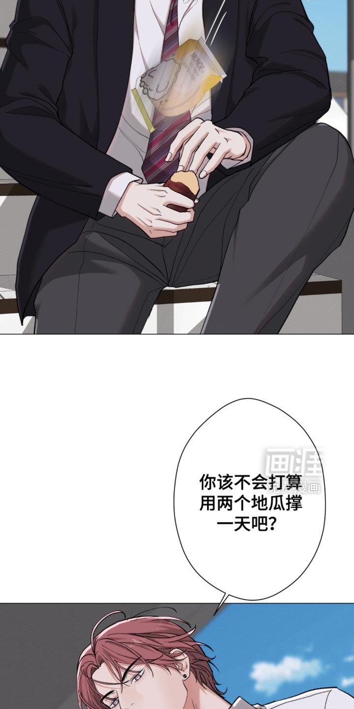 第81章：【第二季】地瓜便当