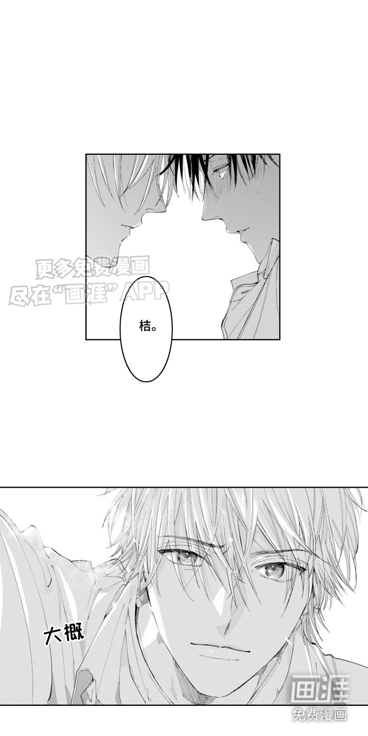 第13章：掉入陷阱