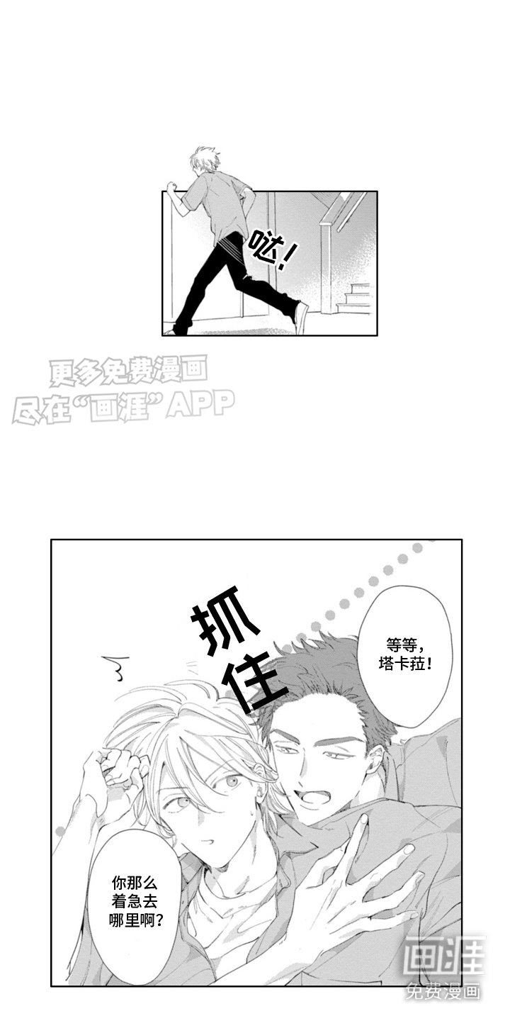 第13章：掉入陷阱