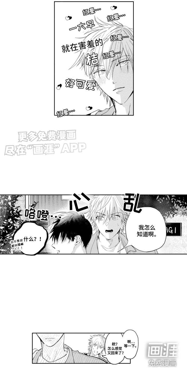 第22章：太喜欢了（完结）