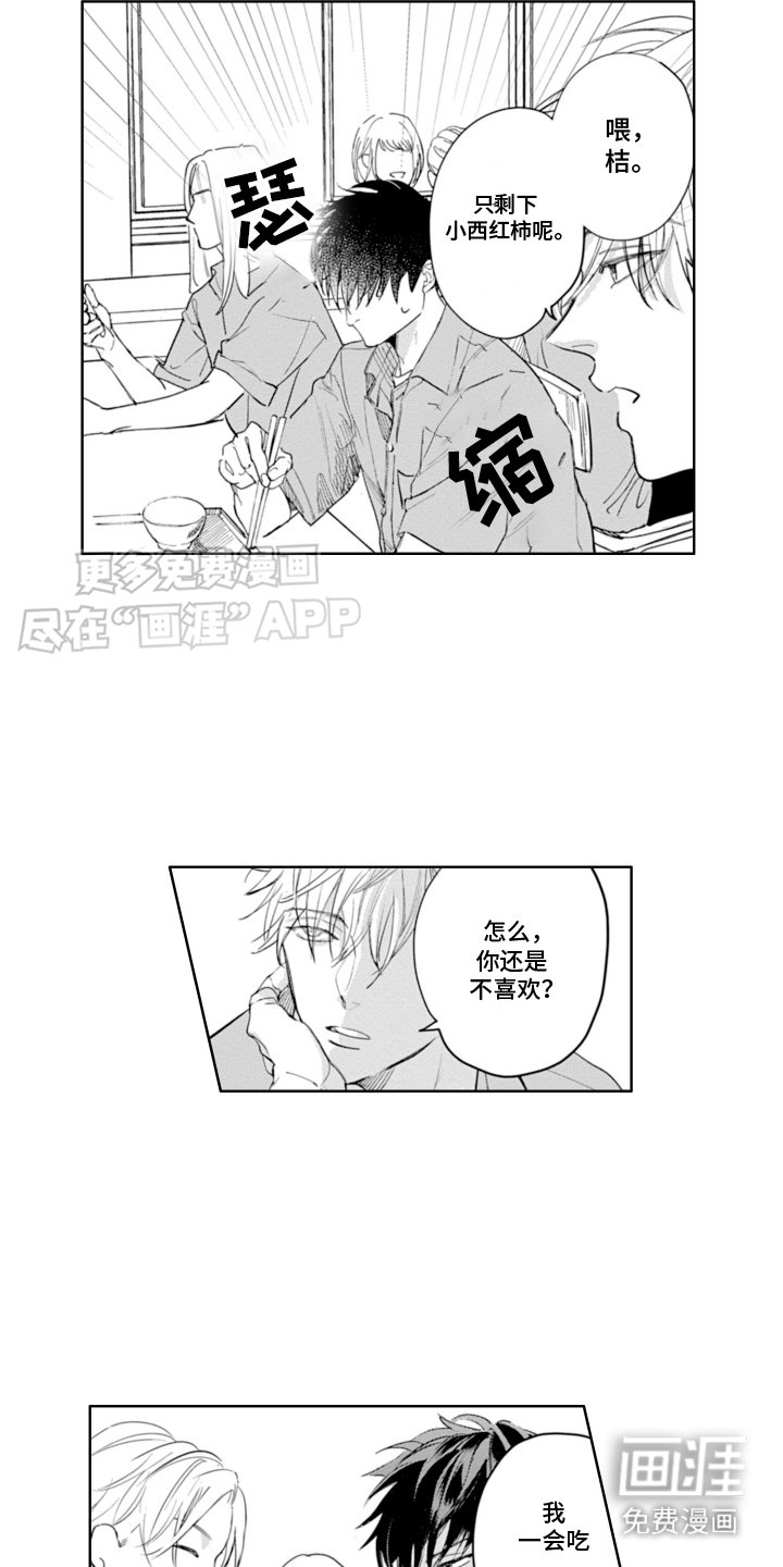 第6章：喂食