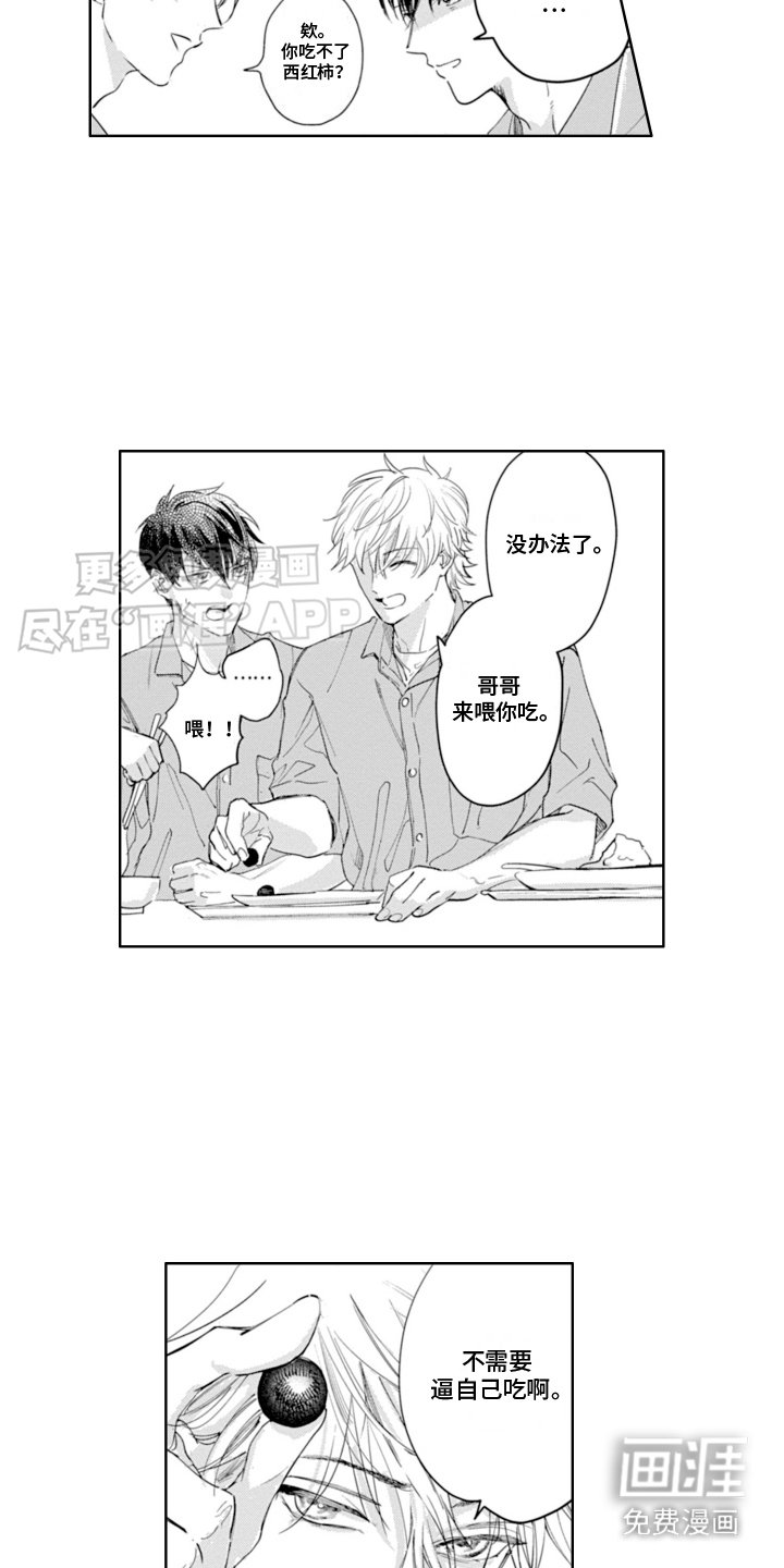 第6章：喂食
