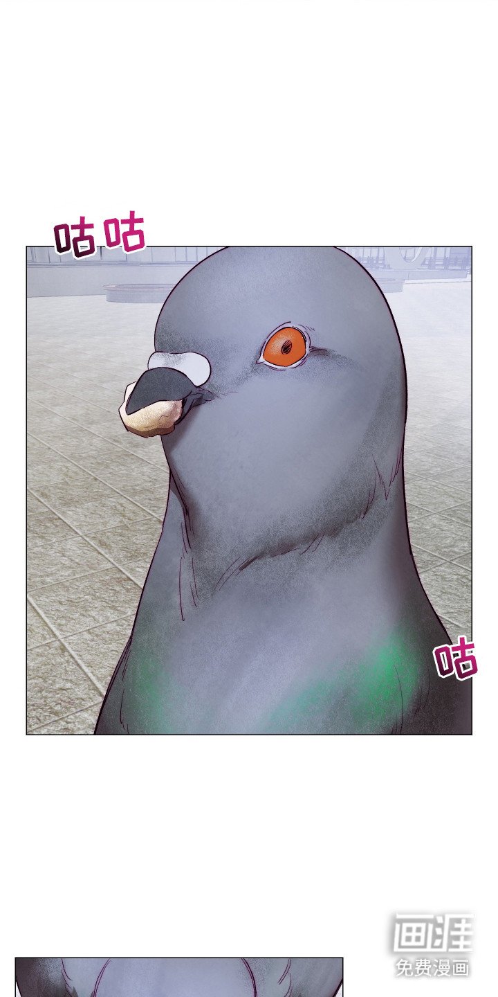 第10章：容光焕发