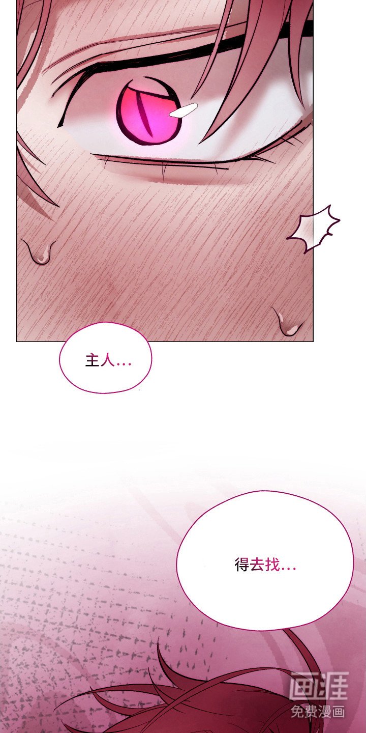 第11章：身体异常