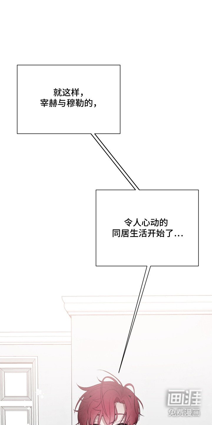 第15章：做家务