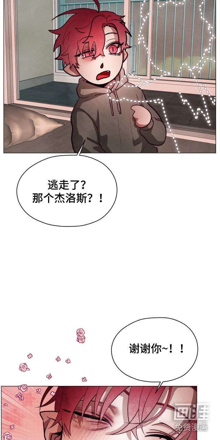 第17章：甜食威胁