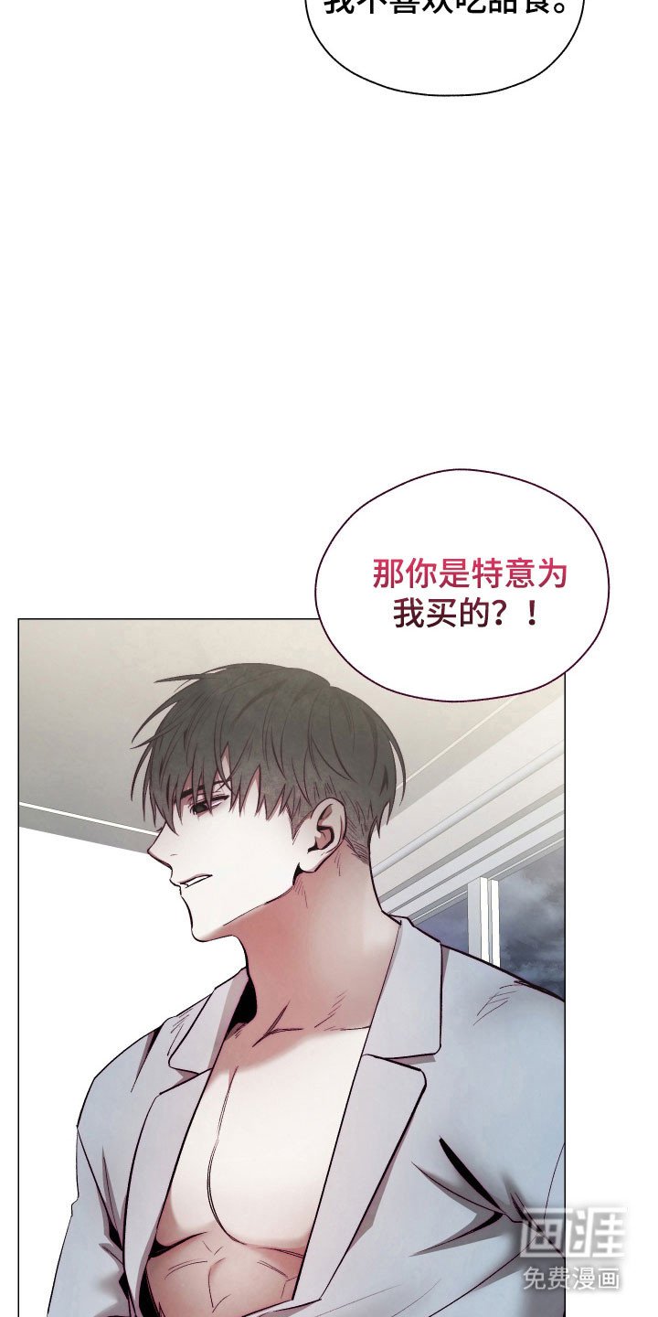 第17章：甜食威胁