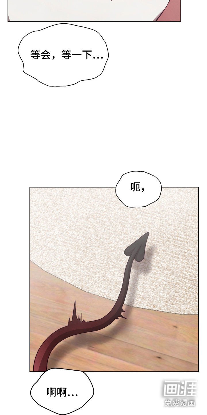 第18章：养料容器