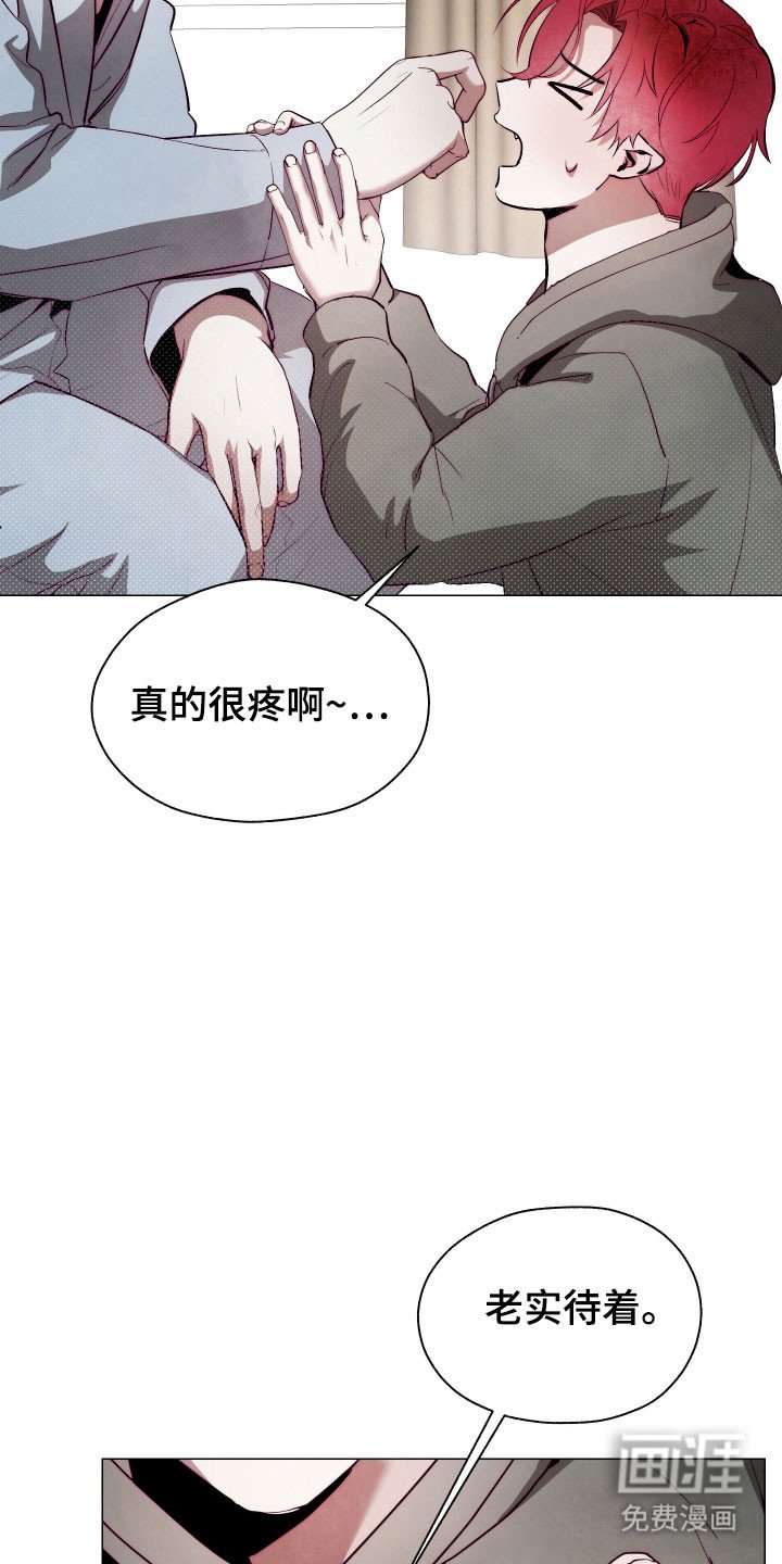 第18章：养料容器