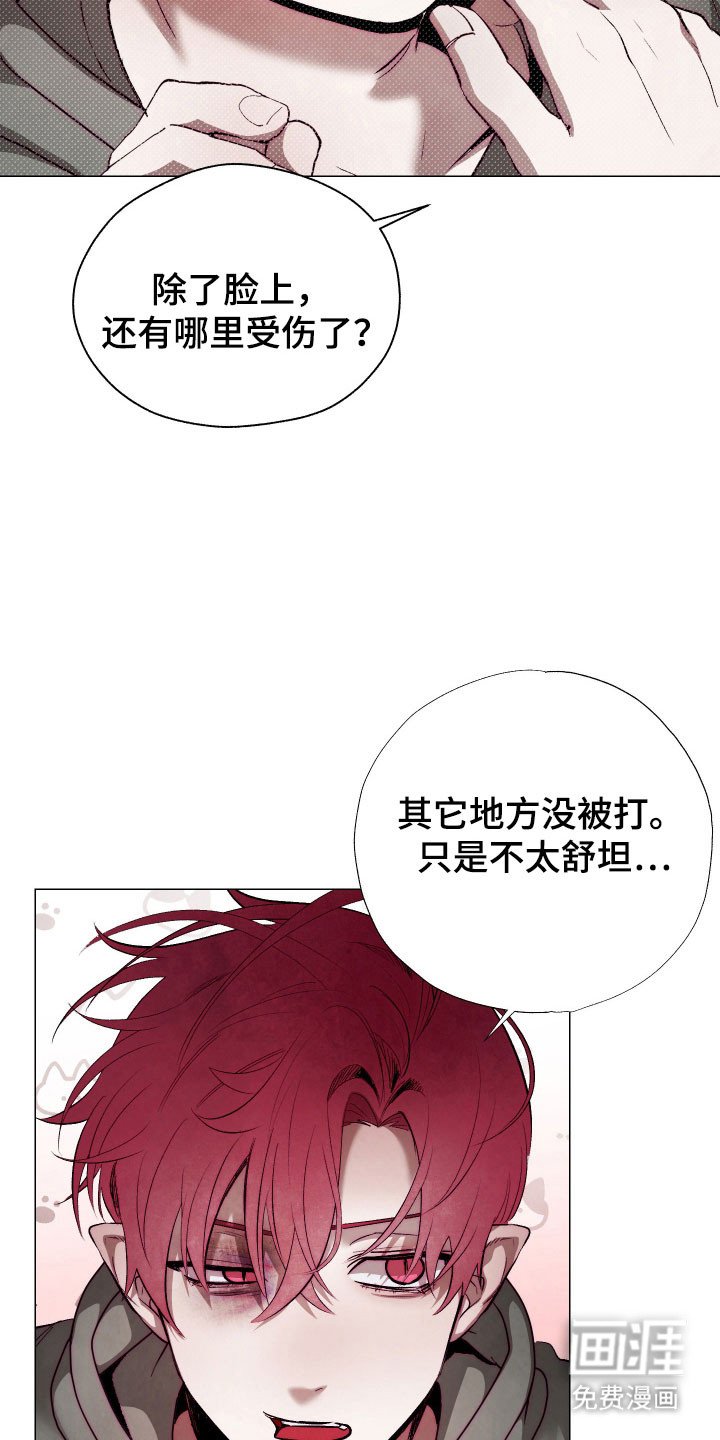 第18章：养料容器