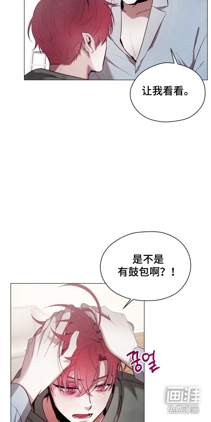 第18章：养料容器
