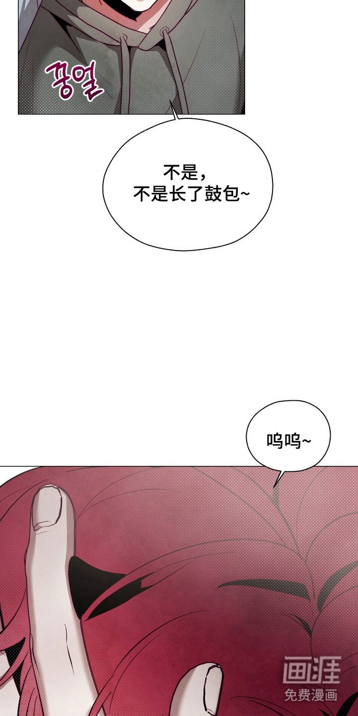 第18章：养料容器