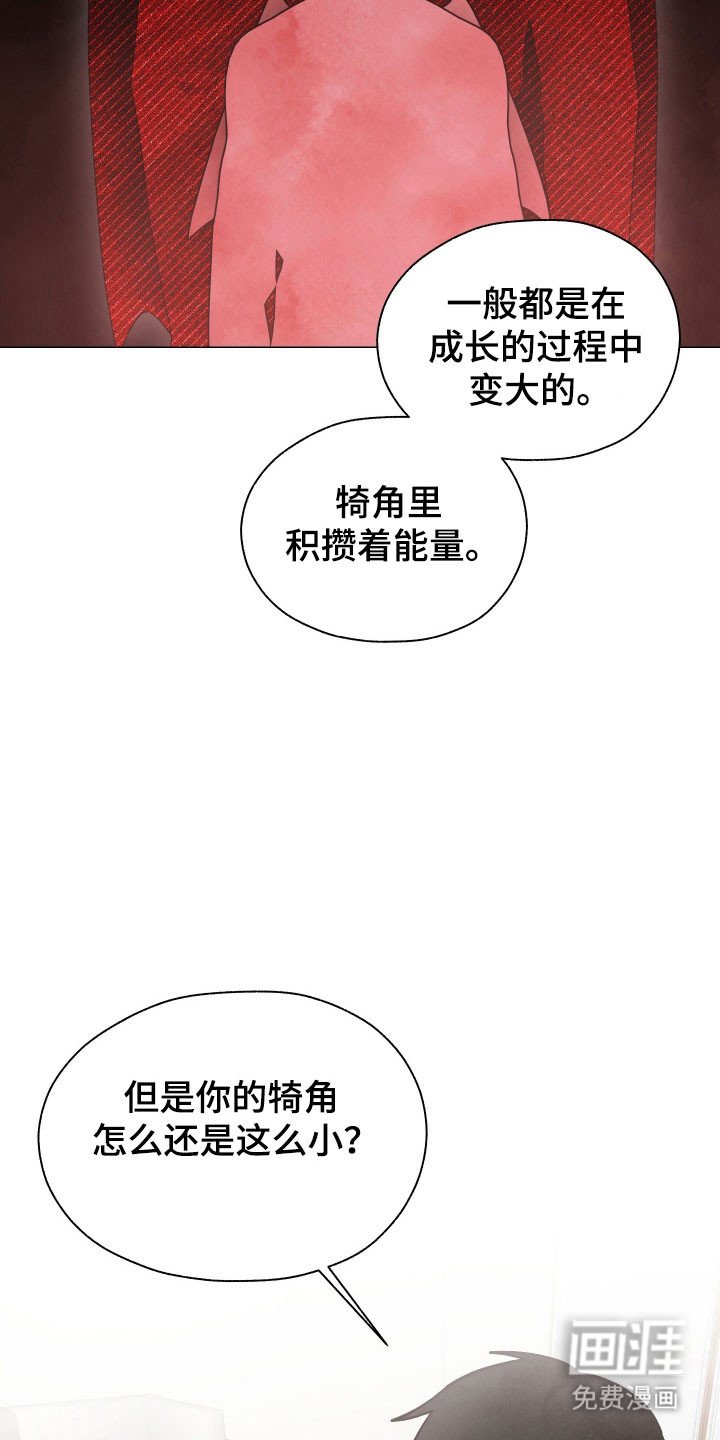 第18章：养料容器