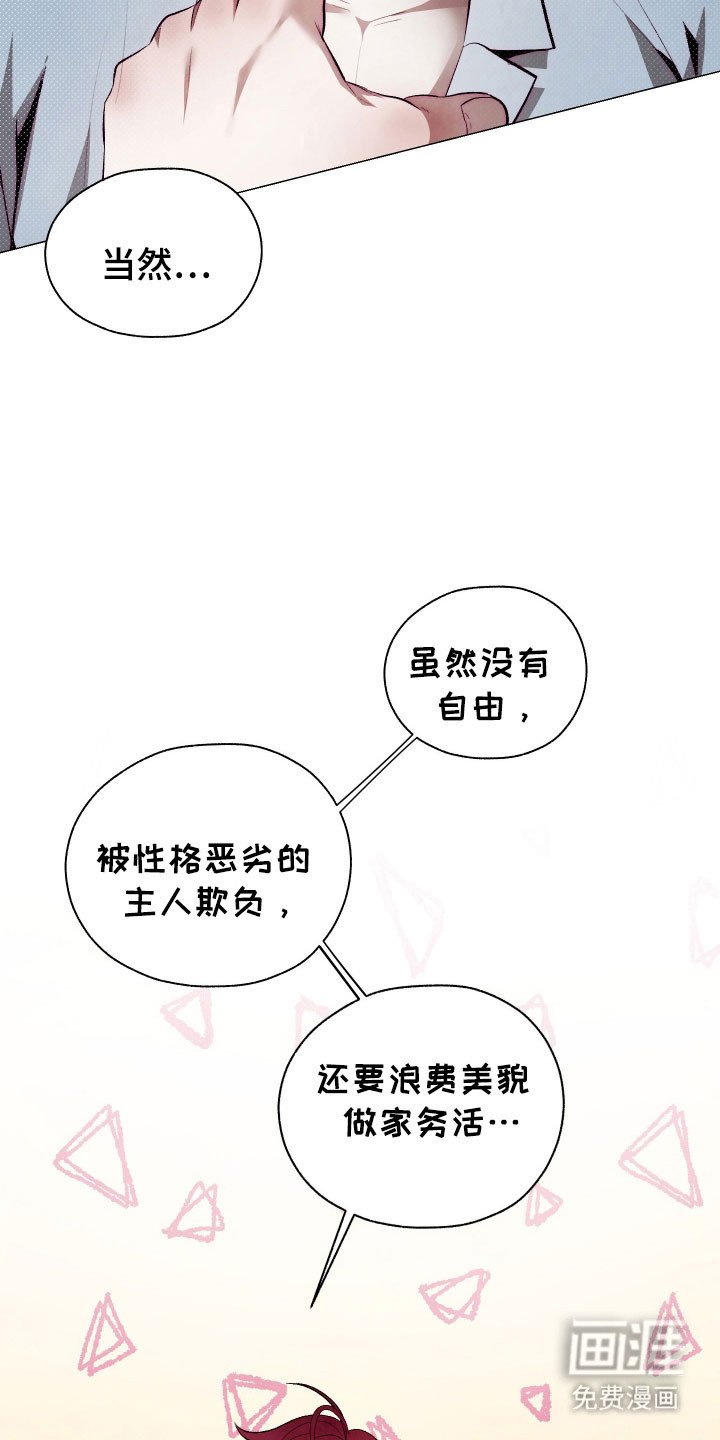 第18章：养料容器