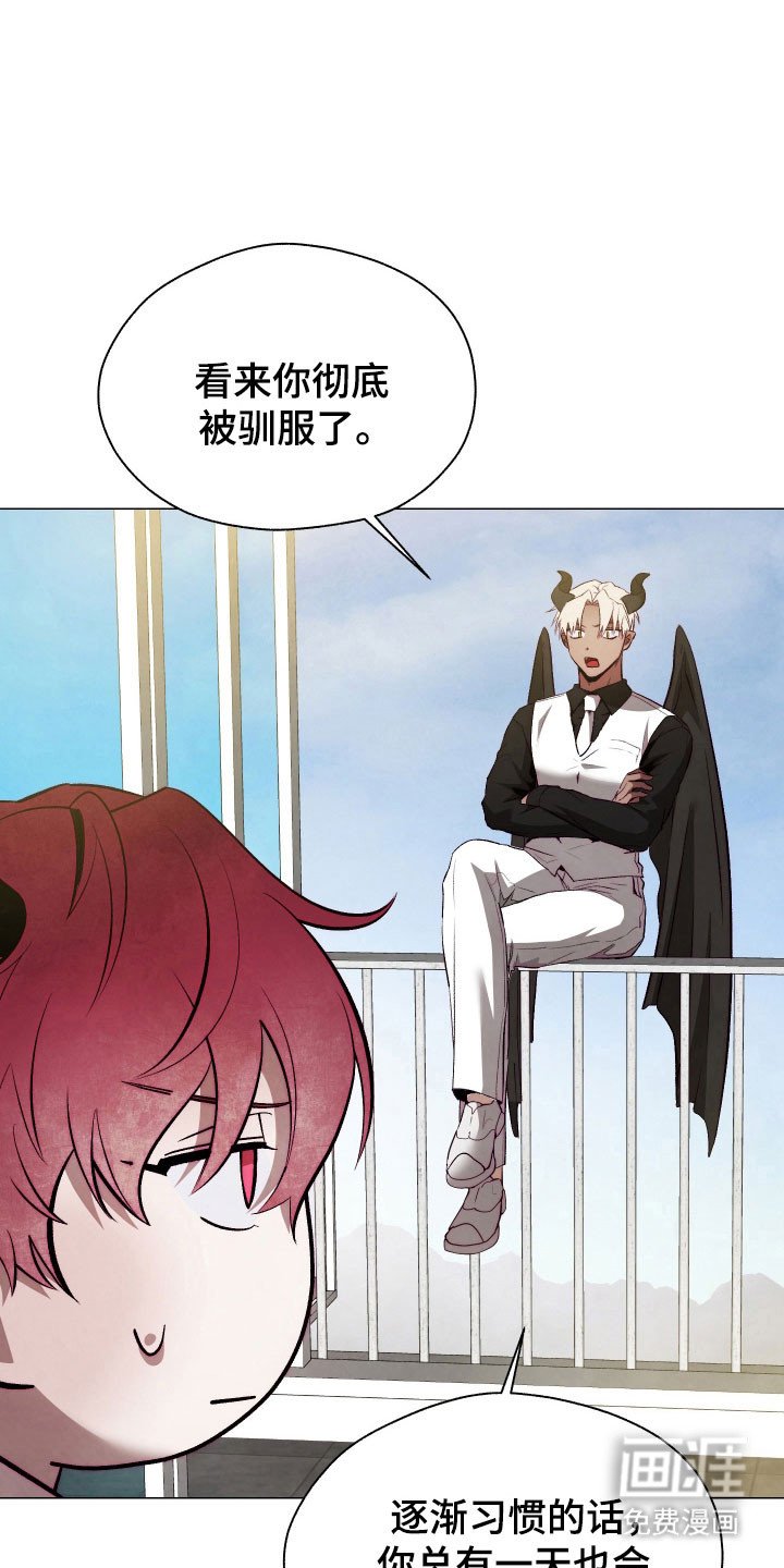 第19章：被人驯服
