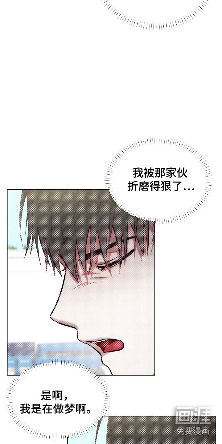 第19章：被人驯服