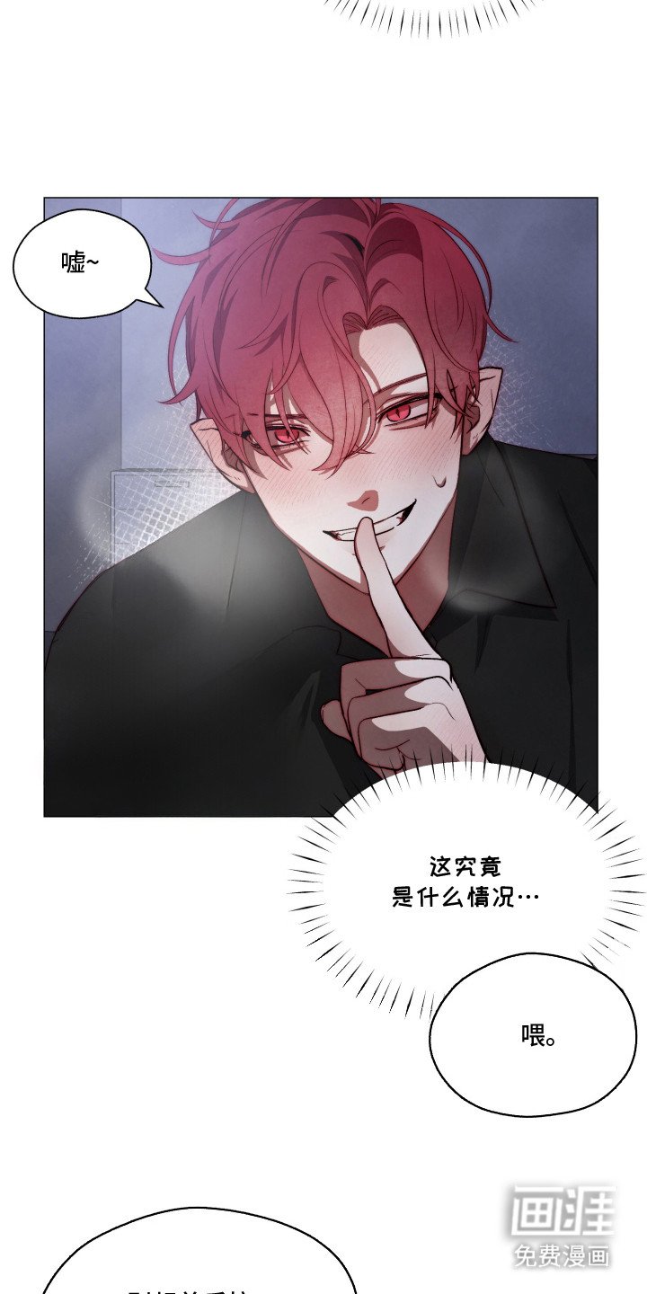第2章：魅魔