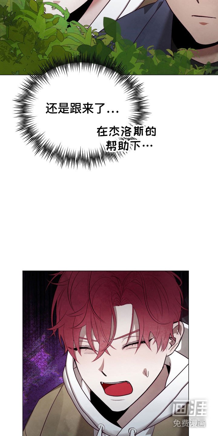 第29章：进行跟踪