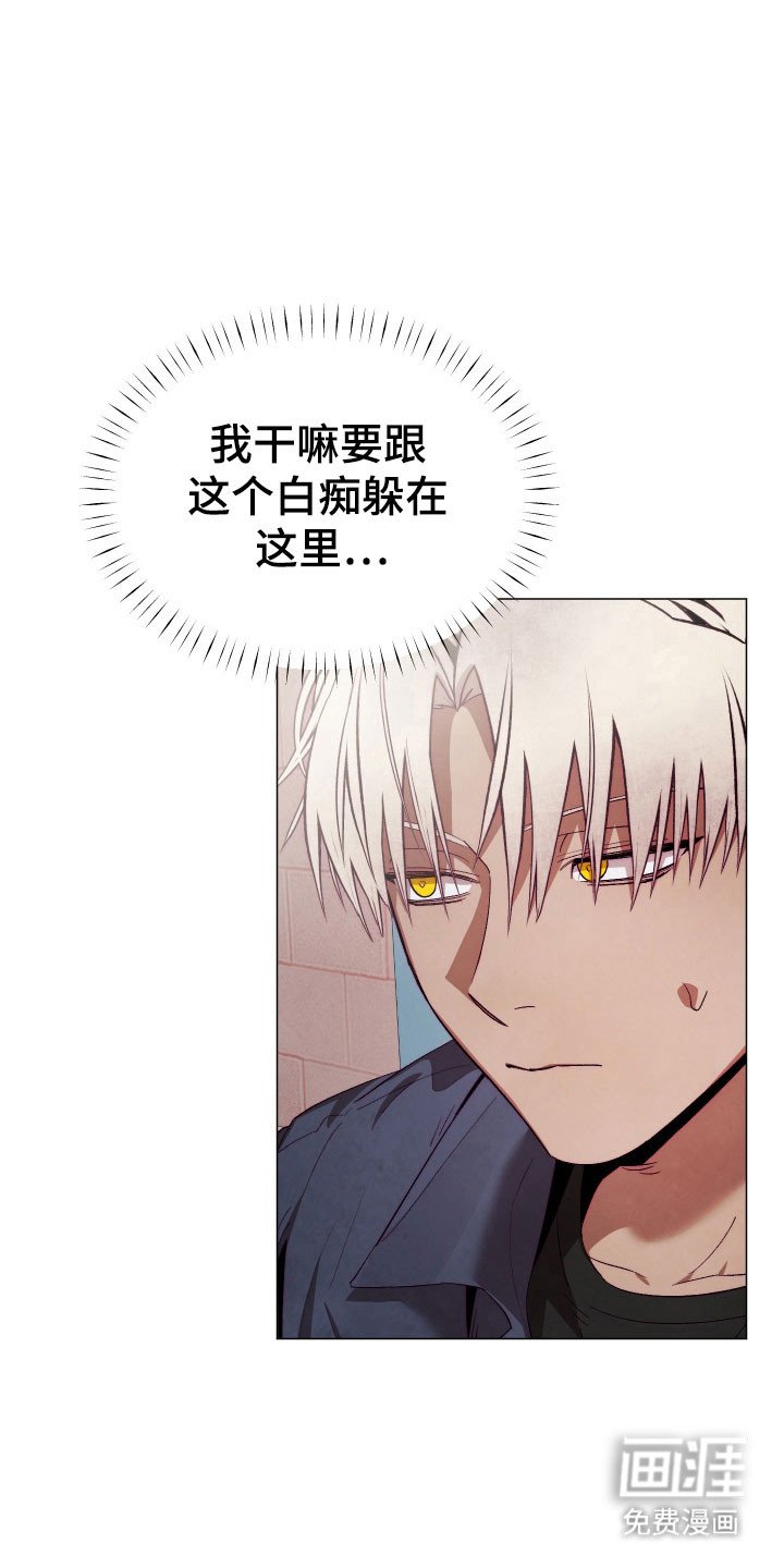 第29章：进行跟踪
