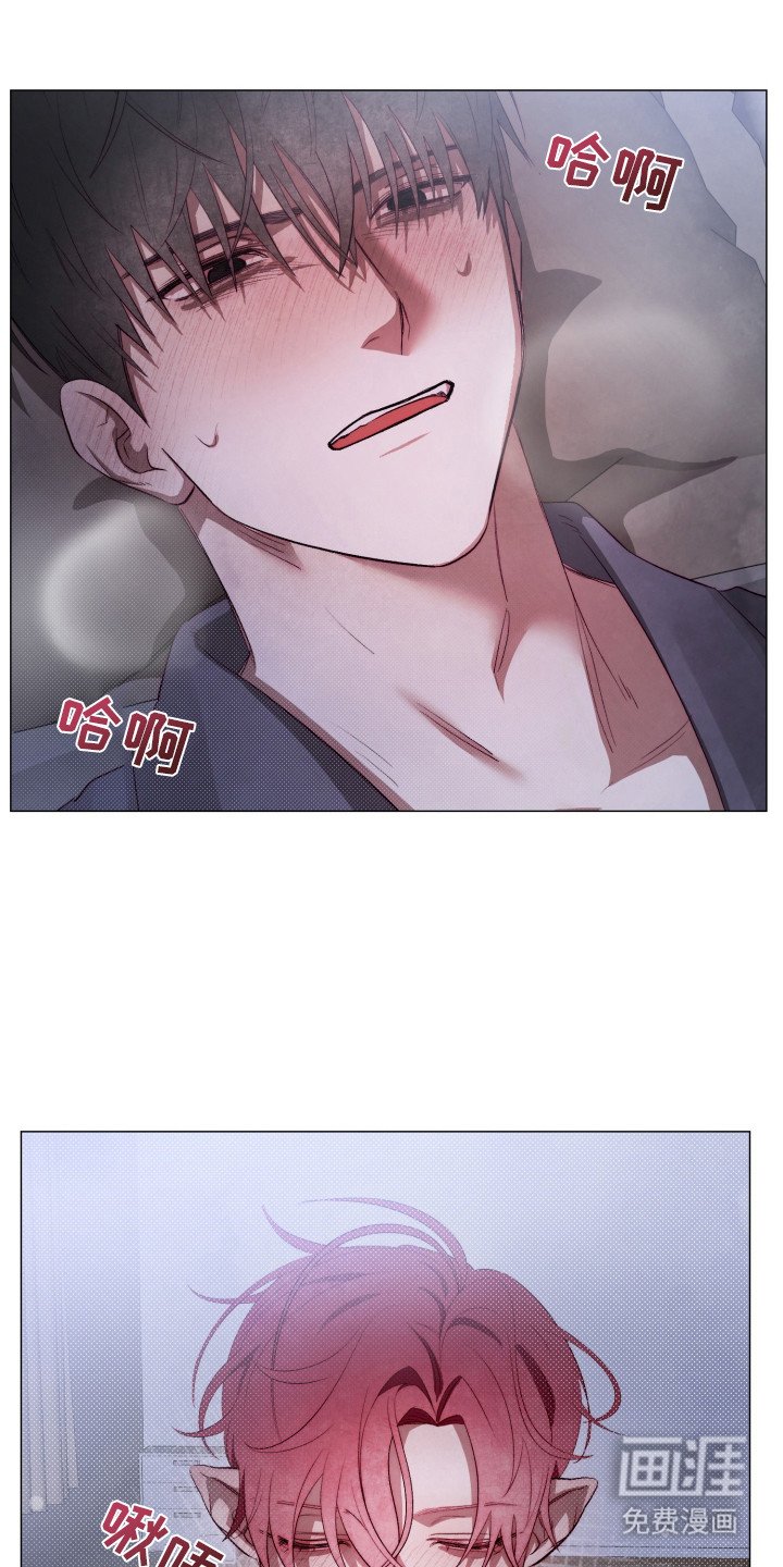 第3章：我行我素