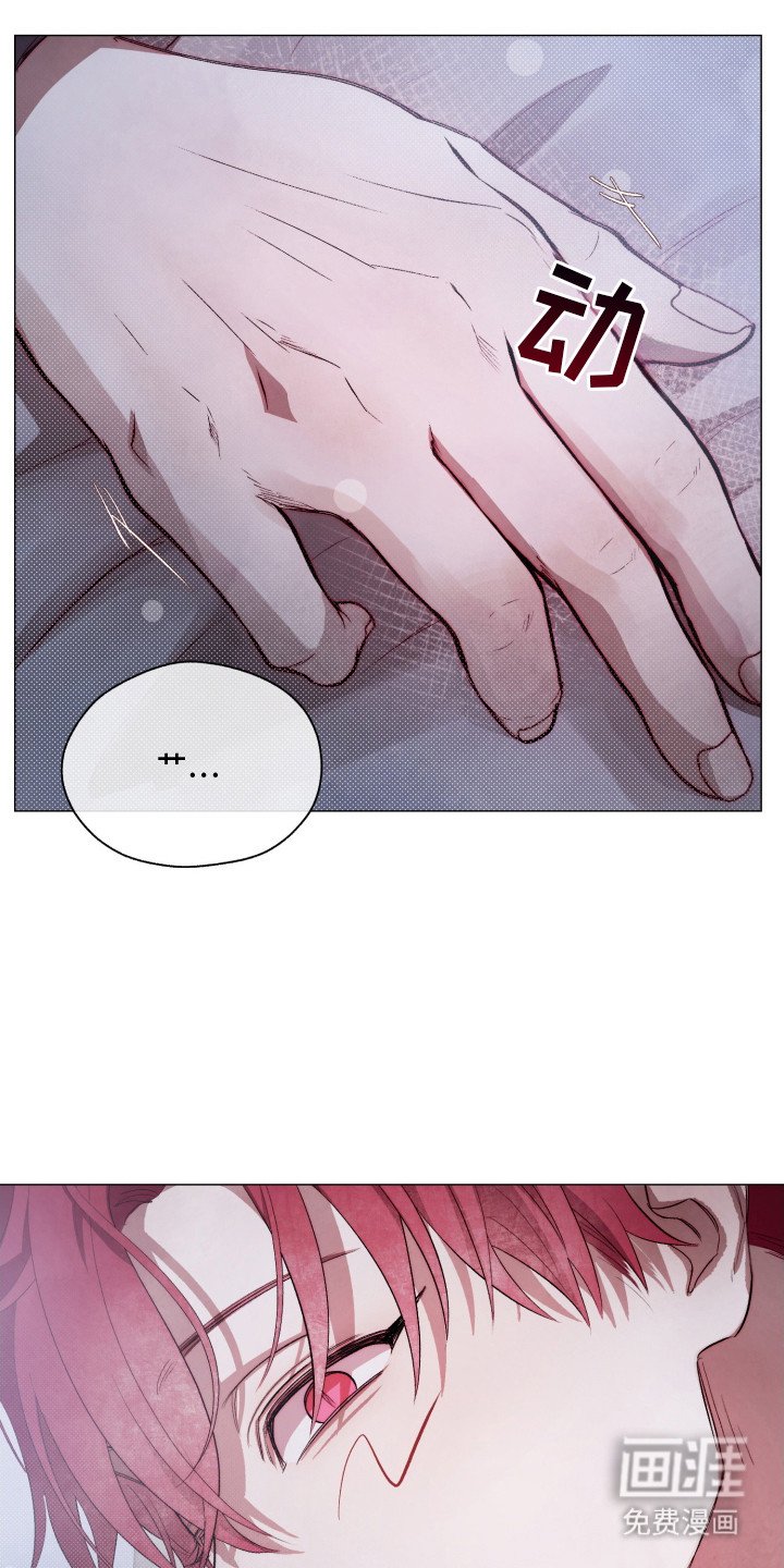 第3章：我行我素