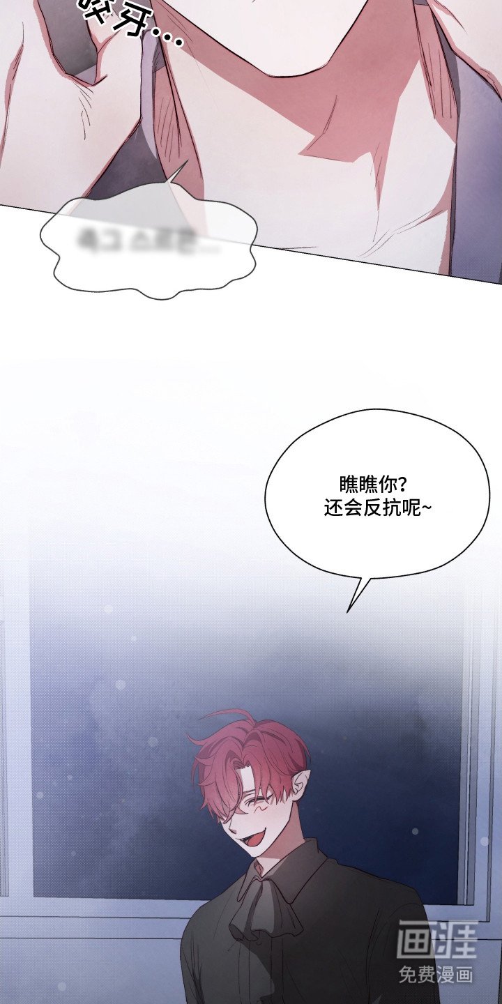 第3章：我行我素