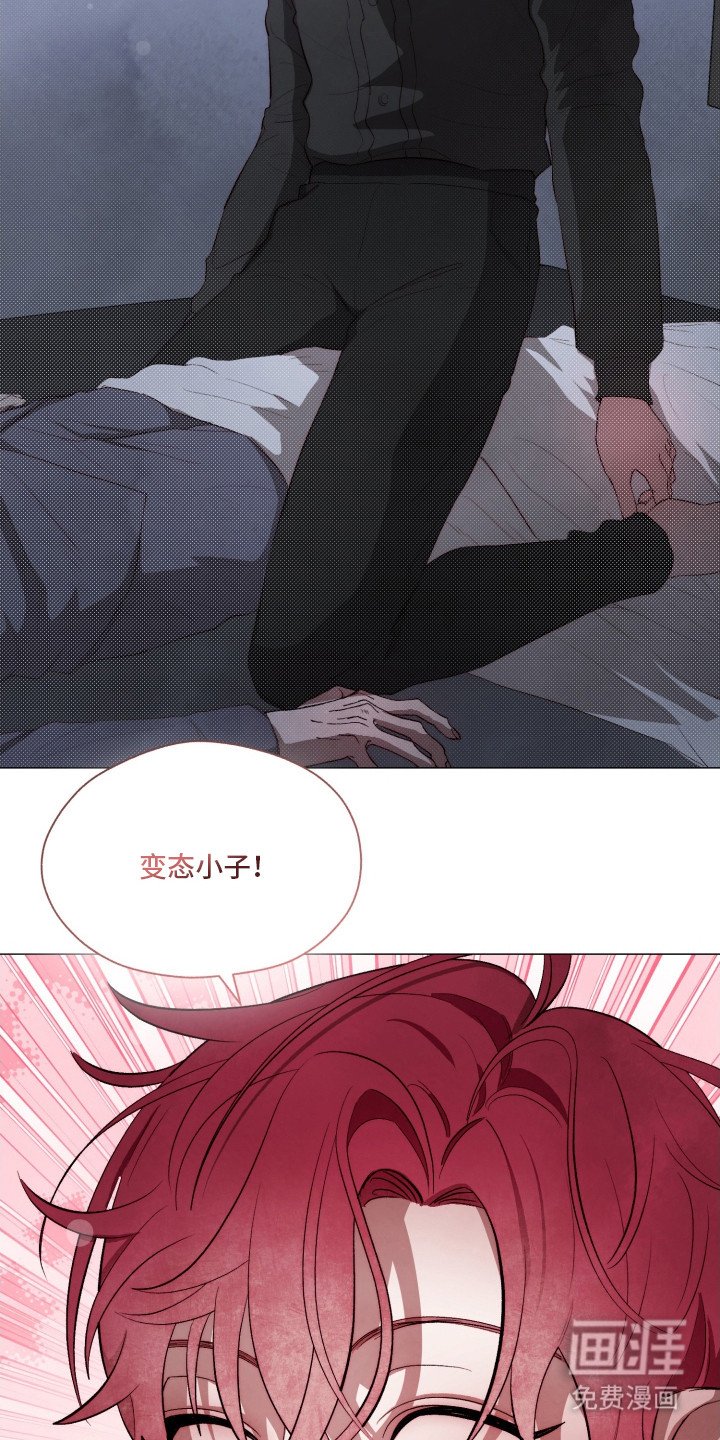 第3章：我行我素