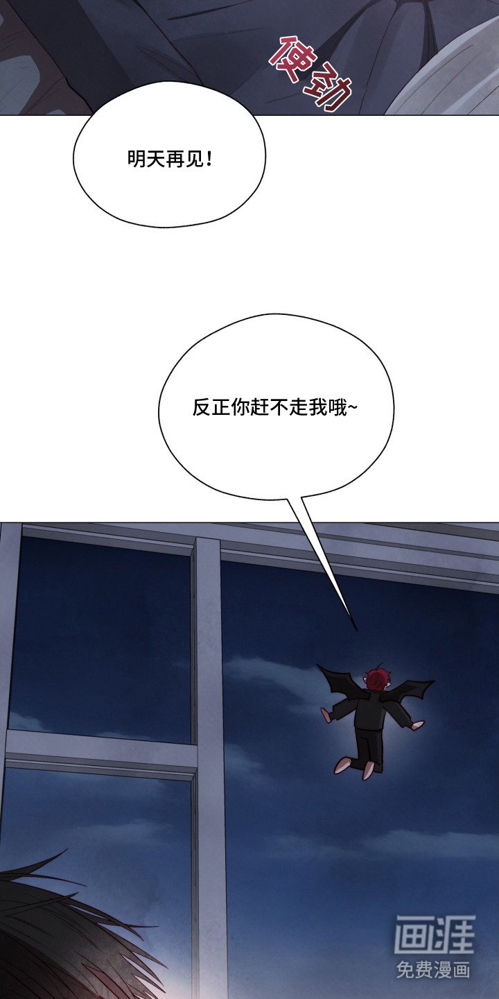 第3章：我行我素
