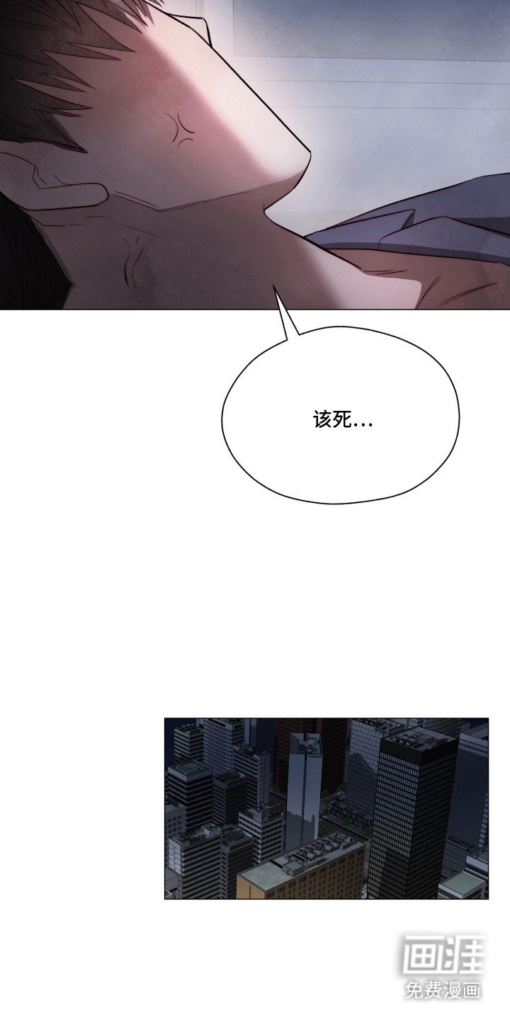 第3章：我行我素