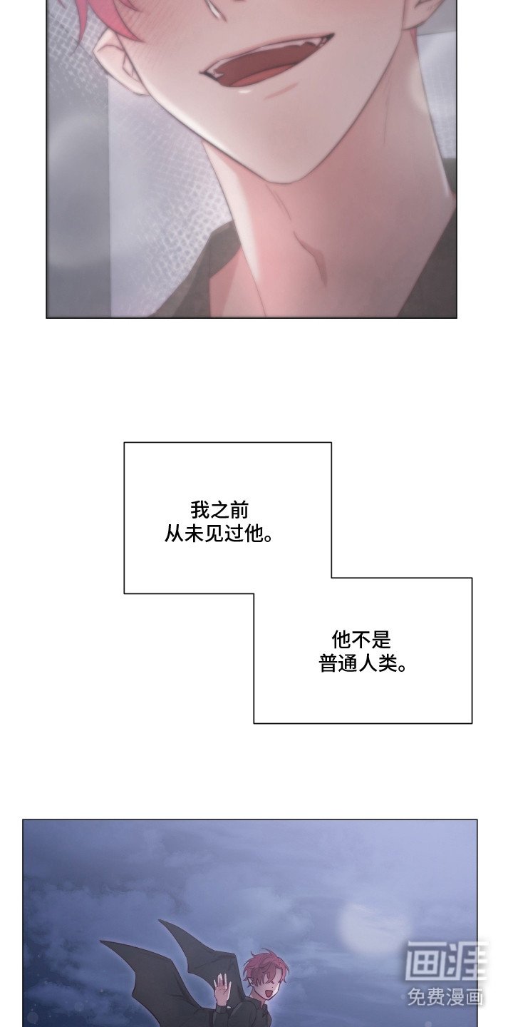 第3章：我行我素