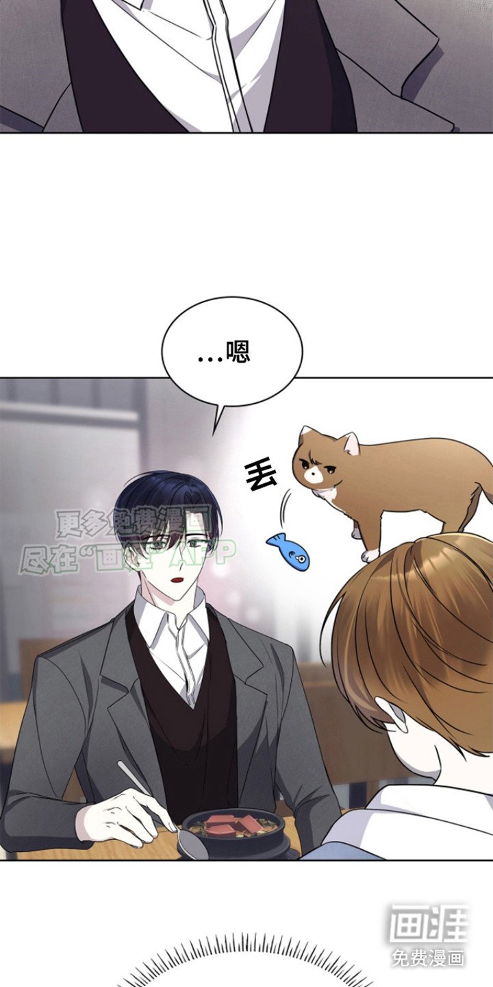 第10章：看书