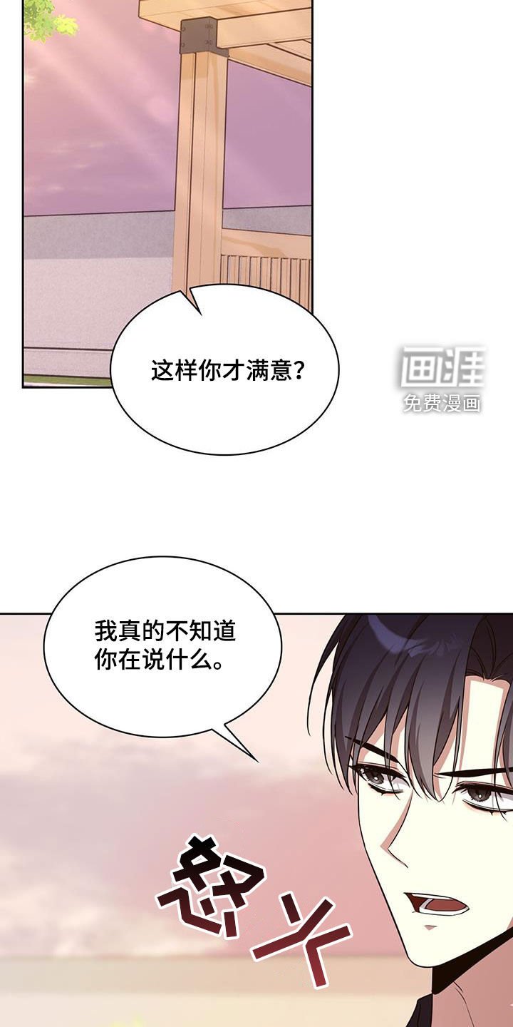 第66章：冒牌货