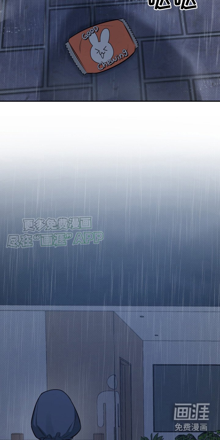 第13章：不见了