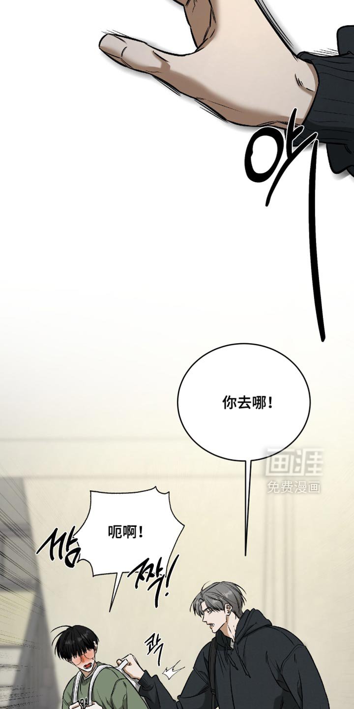 第66章：真是稀奇