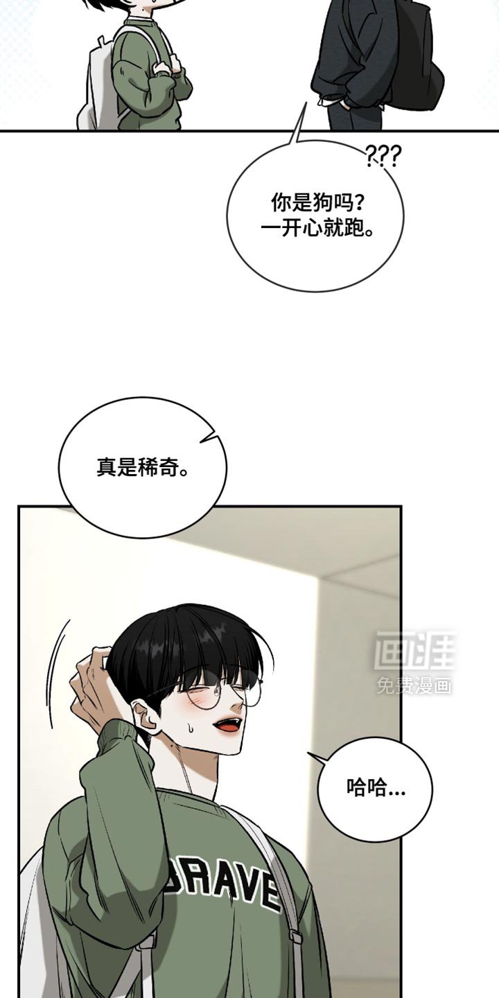 第66章：真是稀奇