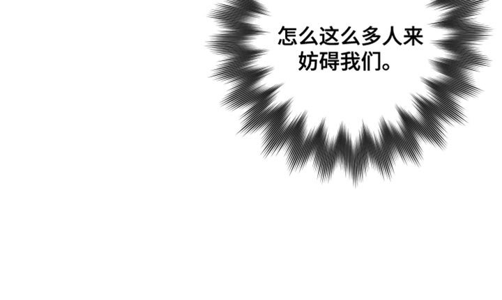 第66章：真是稀奇