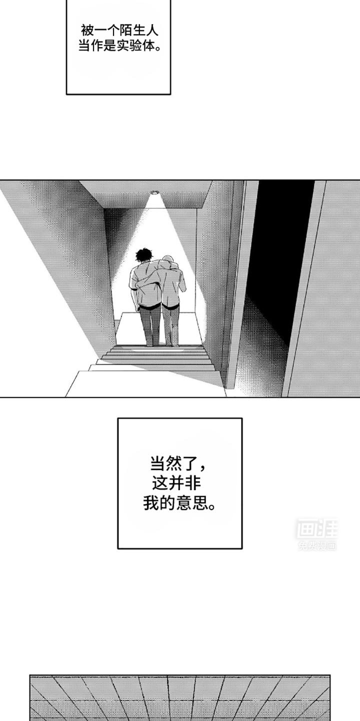 第10章：观察