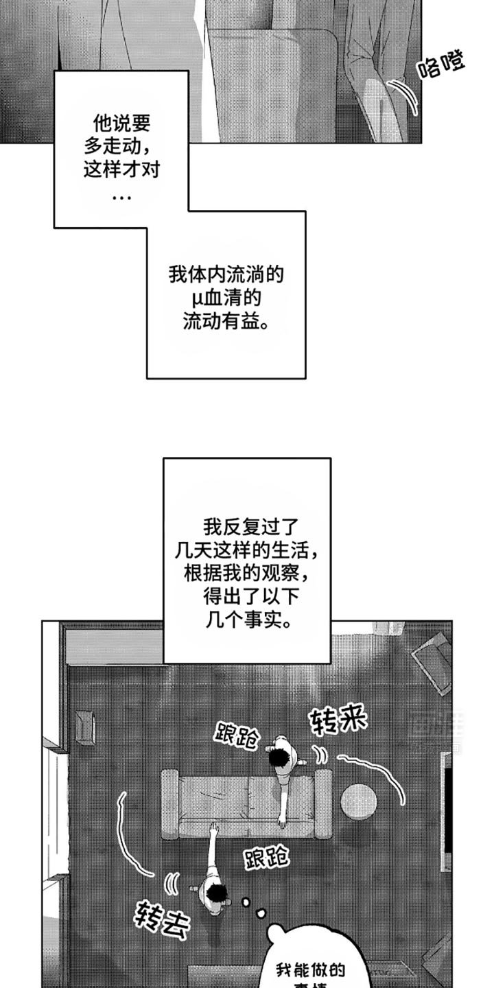 第10章：观察