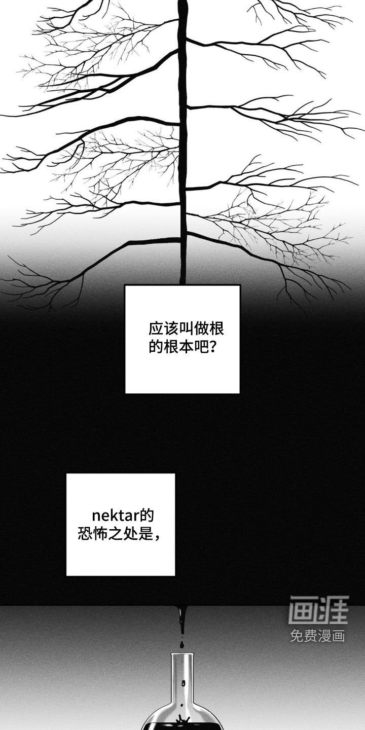 第109章：【第二季】陨石