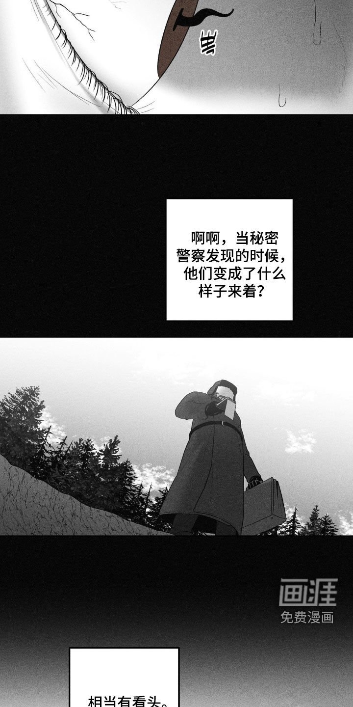 第109章：【第二季】陨石